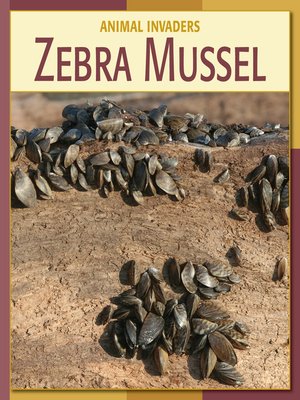 cover image of Zebra Mussel